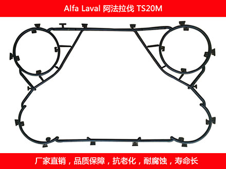 TS20M 国产板式换热器密封垫片