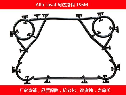 TS6M 国产板式换热器密封垫片
